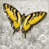 Yellow Butterfly III Posters by Alan Hopfensperger