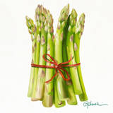 AsPaRaGi Posters by Paolo Golinelli
