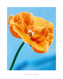 Perfect Day Giclee Print by Tulla Booth
