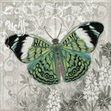 Green Butterfly I Posters by Alan Hopfensperger