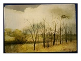 A Country Scene with Small Trees Photographic Print by Mia Friedrich