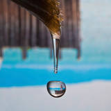 Little Light Prints by Connie Publicover