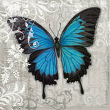 Blue Butterfly II Art by Alan Hopfensperger