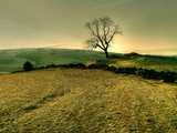 Winters Silence Photographic Print by Mark Gemmell