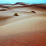 Desert Sands Photographic Print by Steven Boone