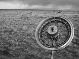 New Mexico Landscape Hubcap Barbed Wire Fence Photographic Print by Kevin Lange