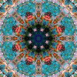 Mandala Royal Tree No 5 Photographic Print by Alaya Gadeh