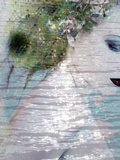 Water Tree Photographic Print by Elizabeth May and Alaya Gadeh