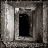 A Black Cat Inside a Window Lámina fotográfica por Luis Beltran A Black Cat Inside a Window Lámina fotográfica por Luis Beltran