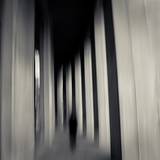We are All Spirits Photographic Print by Sharon Wish