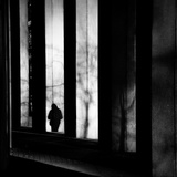 The Shadow Photographic Print by Sharon Wish