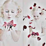 Petal Photographic Print by Tanneke Peetoom