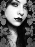 Stranger on My Mind Photographic Print by Elizabeth May and Alaya Gadeh