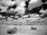 A Hayfield with Summer Clouds Photographic Print by Rip Smith