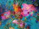 Grest Times II Photographic Print by Alaya Gadeh