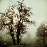 Untitled Photographic Print by Ewa Zauscinska