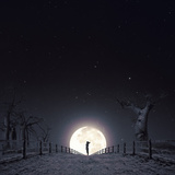 Luna Photographic Print by Luis Beltran
