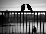Let's Be Quiet Together Photographic Print by Sharon Wish
