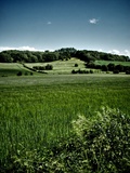 Rural England Photographic Print by Tim Kahane