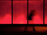 The Art of Disappearing Photographic Print by Sharon Wish