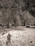 A Cemetery at Night Photographic Print by Rip Smith