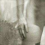 A Hand and Flower Montage Photographic Print by Katrin Adam