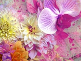 Playful Flower Combination Photographie par Alaya Gadeh
