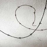 Barbed Wire Photographic Print by Katrin Adam