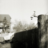 An Outside Tap Fixed to a Post Photographic Print by Katrin Adam