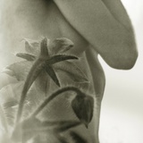 A Naked Female Figure with a Flower Photographic Print by Katrin Adam