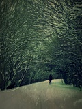 The White Walk Photographic Print by Tim Kahane