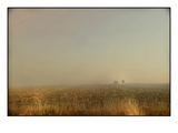Misty Meadow Photographic Print by Mia Friedrich