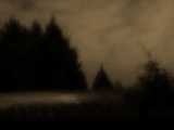 A Night Scene with Pine Trees Photographic Print by Susan Bein