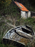 The Boat Shed Photographic Print by Malcolm McBeath