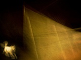 A Small White Dog Running Photographic Print by Susan Bein