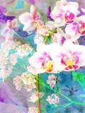 Dancing Flowers Photographic Print by Alaya Gadeh