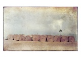 Hay Bails and a Bird Photographic Print by Mia Friedrich