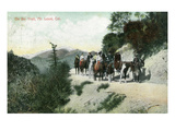 Mt. Lowe, California - A Pack Team on the Mountain Trail Prints by Lantern Press 
