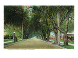 Pasadena, California - View Down Marengo Avenue Prints by Lantern Press 
