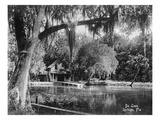Deleon Springs, Florida - Scenic View Prints by Lantern Press 