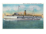 Santa Catalina Island, California - View of the New SS Catalina Steamer Posters by Lantern Press 