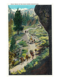 California - View of a Pack Train in the Sierra Mountains Print by Lantern Press 
