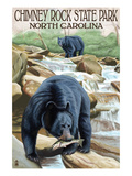 Chimney Rock State Park, NC - Bear Fishing in Stream Poster by Lantern Press 