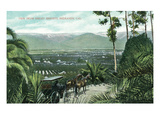 Redlands, California - View from Smiley Heights Art by Lantern Press 