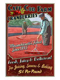 Cape Cod, Massachusetts - Cranberry Prints by Lantern Press 