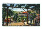 Santa Catalina Island, California - View of Bird Park Prints by Lantern Press 
