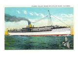 Santa Catalina Island, California - View of the Steamer Avalon Art by Lantern Press 