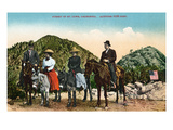 Mt. Lowe, California - View of Hiking Group on Horseback at Summit Prints by Lantern Press 