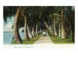 Palm Beach, Florida - Lake Front Scene Posters by Lantern Press 