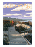 Pacific Grove, California - Asilomar Boardwalk Posters by Lantern Press 